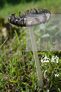 違法的網(wǎng)貸人家起訴嗎 違法的網(wǎng)貸人家起訴嗎有用嗎