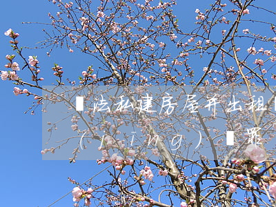 違法私建房屋并出租構(gòu)成非法經(jīng)營罪
