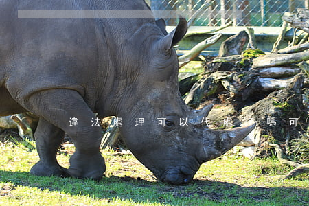 違法處理可以代處理嗎(可以代處理違章嗎)
