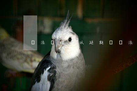 違法處理可以延期嗎(違法處理可以延期嗎)