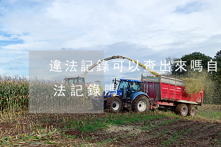 違法記錄可以查出來嗎(自己可以查自己的違法記錄嗎)