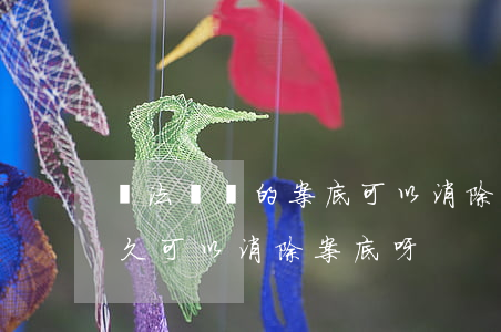 違法記錄的案底可以消除嗎(有犯罪記錄的多久可以消除案底呀)