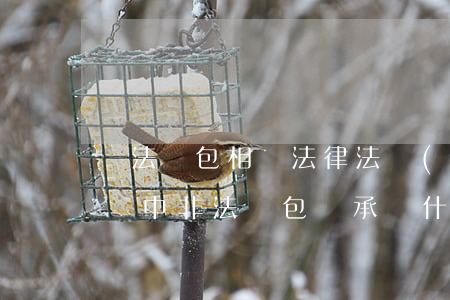 違法轉包相關法律法規(guī)(合同糾紛中非法轉包應承擔什么法律責任)