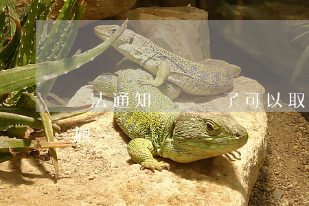 違法通知單開錯了可以取消嗎(開了罰單可以撤銷嗎)