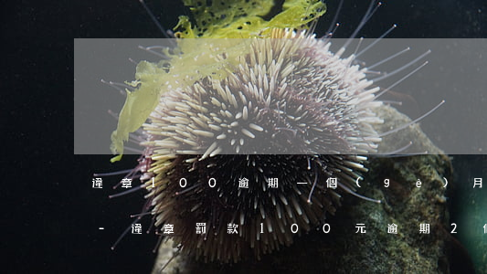 違章100逾期一個(gè)月要交多少錢-違章罰款100元逾期2個(gè)月多交多少錢