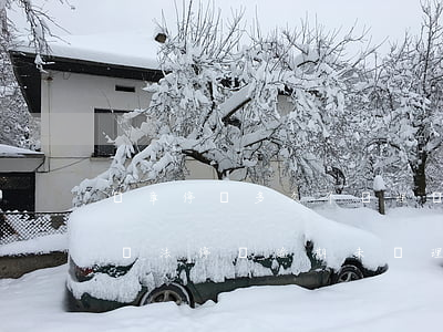 違章停車多久不處理會(huì)被扣逾期（違法停車逾期未處理會(huì)被扣車嗎）
