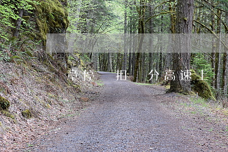 違章停車扣幾分(高速上違章停車扣幾分)