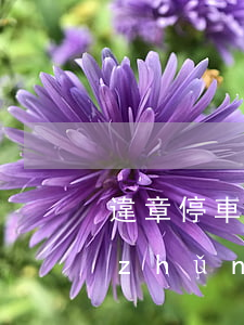 違章停車開罰單的處罰標(biāo)準(zhǔn)是什么（中華人民共和國(guó)道路交通安全法實(shí)施條例對(duì)于臨時(shí)停車的規(guī)定）