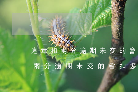 違章扣兩分逾期未交的會扣多少錢-違章扣兩分逾期未交的會扣多少錢呢