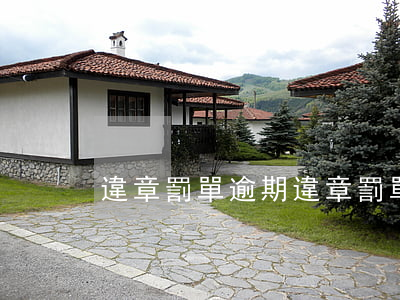 違章罰單逾期(違章罰單逾期了怎么辦)