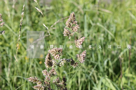 違章罰款逾期多久可以收到信息-