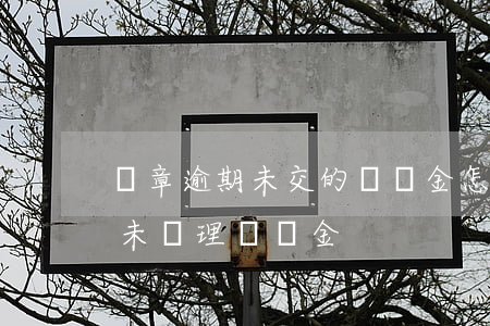 違章逾期未交的滯納金怎么處罰-違章逾期未處理滯納金