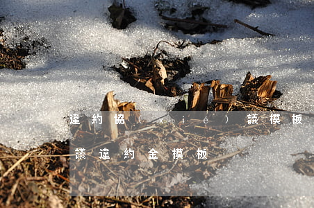 違約協(xié)議模板(三方協(xié)議違約金模板)
