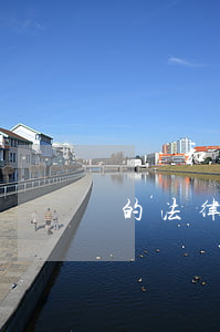 違約和逾期不得超過本金(違約金不超過本金的法律依據(jù))