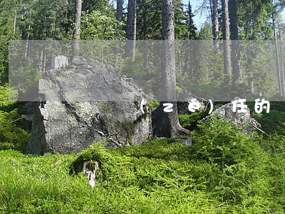 違約責(zé)任的賠償有什么范圍