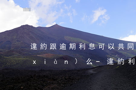 違約跟逾期利息可以共同實(shí)現(xiàn)么-違約利息和逾期利息