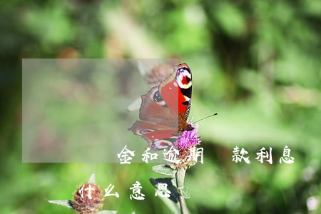 違約金和逾期還款利息嗎(逾期還款違約金是什么意思)