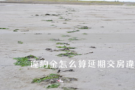 違約金怎么算(延期交房違約金怎么算)