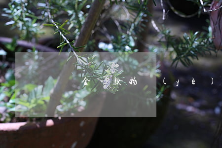 違約金條款(物業(yè)合同違約金條款)