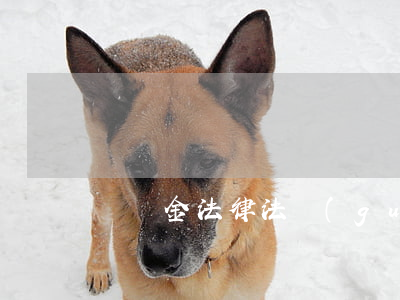 違約金法律法規(guī)司法解釋