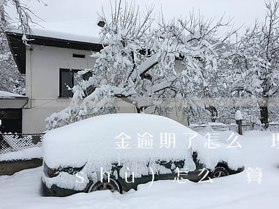 違約金逾期了怎么處理-違約金逾期天數(shù)怎么計算