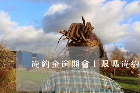 違約金逾期會上限嗎(違約金有上限嗎?)