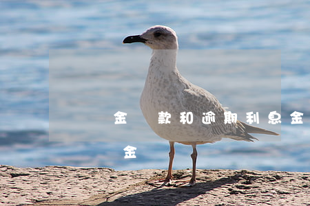 違約金還款和逾期利息(金融借款逾期利息與違約金)