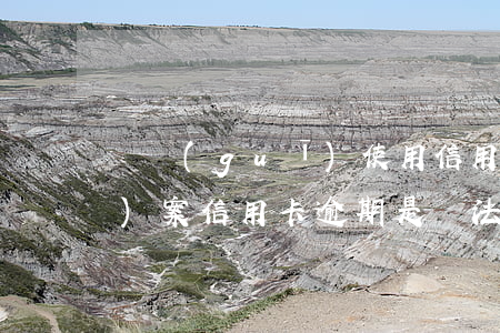 違規(guī)使用信用卡逾期報(bào)案(信用卡逾期是違法行為嗎)
