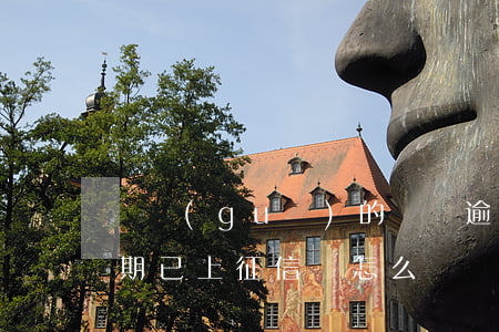 違規(guī)的網貸逾期上征信嗎(網貸逾期已上征信該怎么辦)