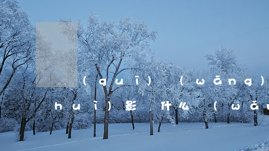 違規(guī)網(wǎng)貸逾期會(huì)影響什么(網(wǎng)貸逾期會(huì)不會(huì)影響銀行貸款)