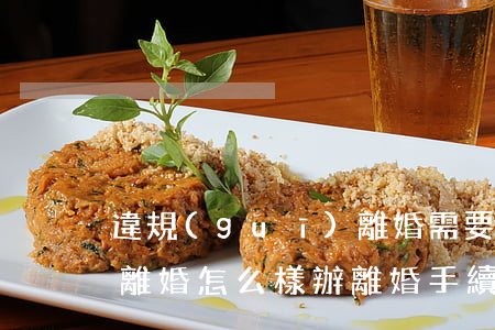 違規(guī)離婚需要什么手續(xù)(離婚怎么樣辦離婚手續(xù))