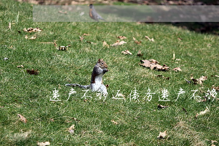 遗产不够还债务(遗产不够还债务怎么办)