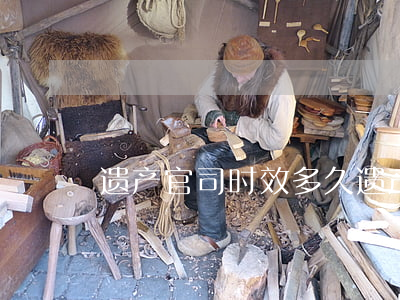 遗产官司时效多久(遗产官司时效多久)