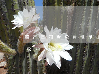 遗产官司诉讼费谁承担(遗产继承起诉费怎么收的)