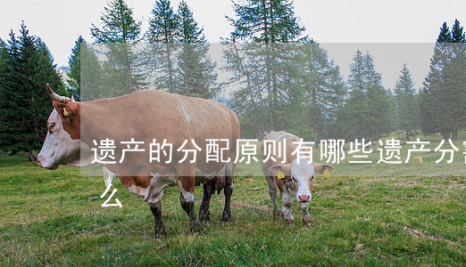 遗产的分配原则有哪些（遗产分割的时间是什么）