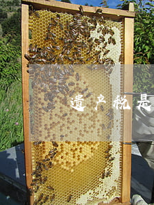 遗产税是多少(遗产税是多少)