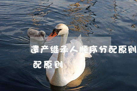遗产继承人顺序分配原则(遗产继承人顺序分配原则)