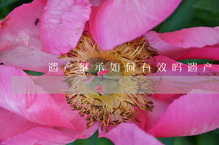 遗产继承如何有效吗(遗产继承几年有效)