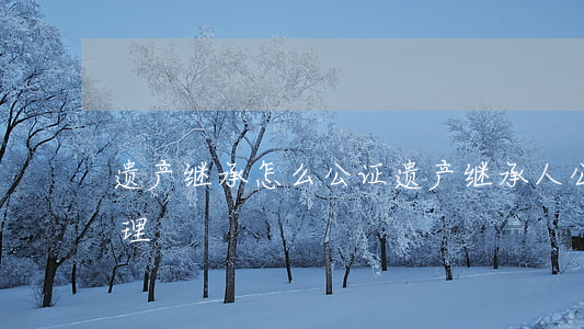 遗产继承怎么公证(遗产继承人公证书怎么办理)