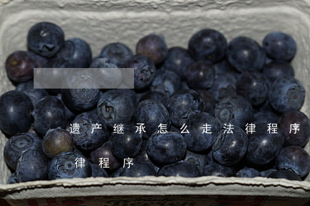 遗产继承怎么走法律程序(遗产继承怎么走法律程序)