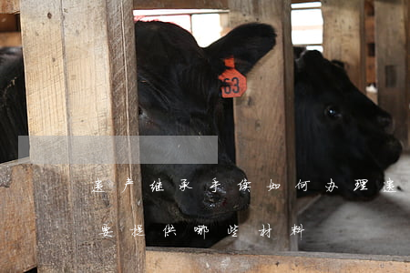遗产继承手续如何办理(遗产继承在哪里办?需要提供哪些材料)