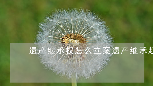 遗产继承权怎么立案(遗产继承起诉)