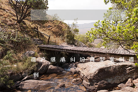 遗产继承纠纷典型案例(遗产继承纠纷典型案例)