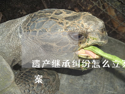 遗产继承纠纷怎么立案(遗产继承纠纷怎么立案)