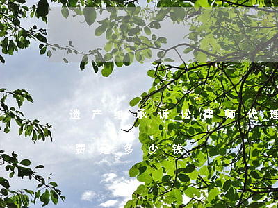 遗产继承诉讼律师代理费(遗产继承诉讼律师费是多少钱)
