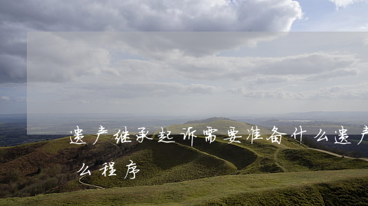 遗产继承起诉需要准备什么(遗产继承需要什么程序)