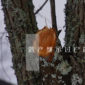 遗产继承过户(遗产继承过户需要缴纳什么费)