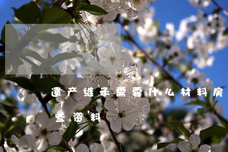 遗产继承需要什么材料(房屋遗产继承需要哪些资料)