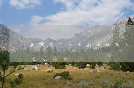 遗嘱写了必须去公证吗(立遗嘱还需要去公证处公证吗)