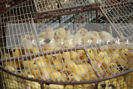 遗嘱可以写全部财产吗(遗嘱涉及的钱怎么写)